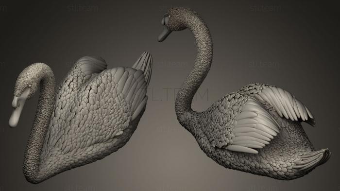 3D model Swan (STL)